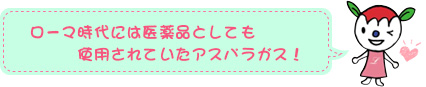 ローマ時代には医薬品としても使用されていたアスパラガス！