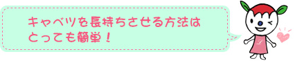 キャベツを長持ちさせる方法