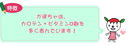 かぼちゃは、カロテン・ビタミンB郡を多く含んでいます!