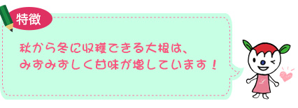 秋から冬に収穫できる大根は、みずみずしく甘味が増しています！