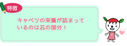 キャベツの栄養が詰まっているのは芯の部分！