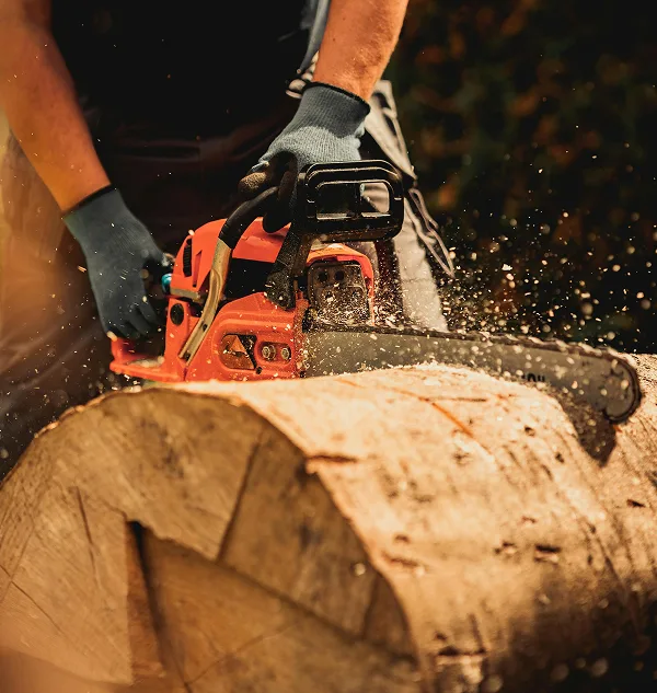 wood-cutting