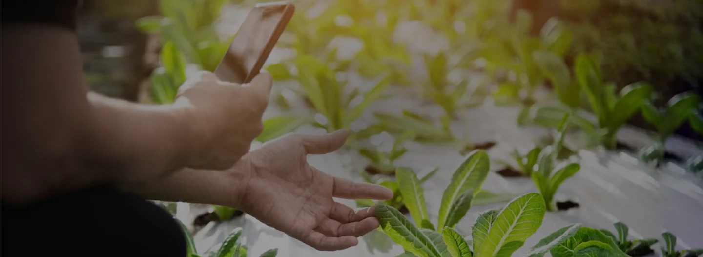 <br />
<b>Warning</b>:  Undefined variable $heading in <b>/home/xb782948/maruyama.co.jp/public_html/global/wp-content/themes/maruyama/template/solution.php</b> on line <b>29</b><br />
