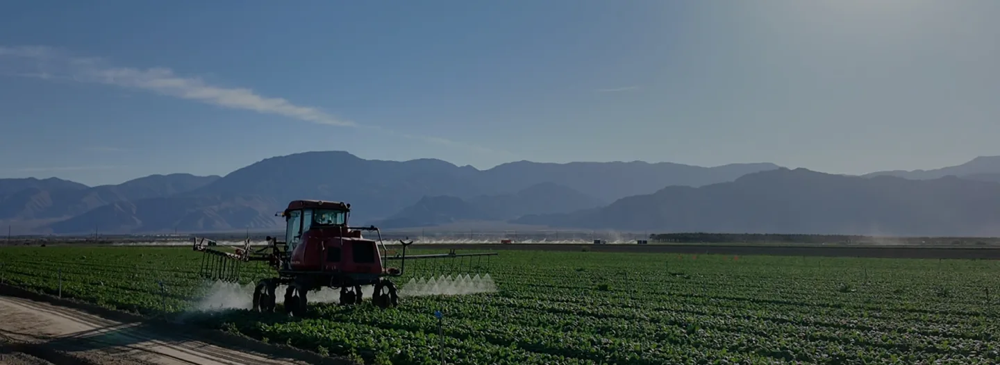 Maruyama: Un Viaje Visual
