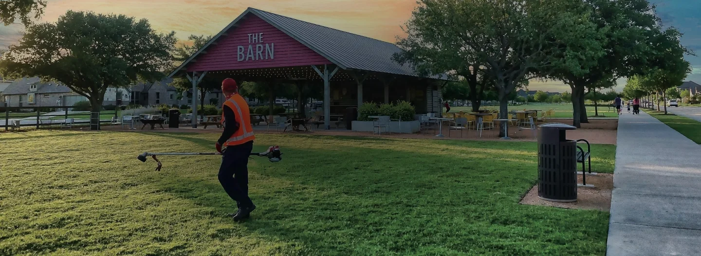 Descubrir el mundo Maruyama
