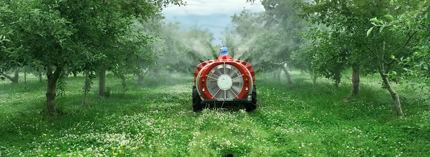 Arraigada en la tradición e impulsada por la innovación