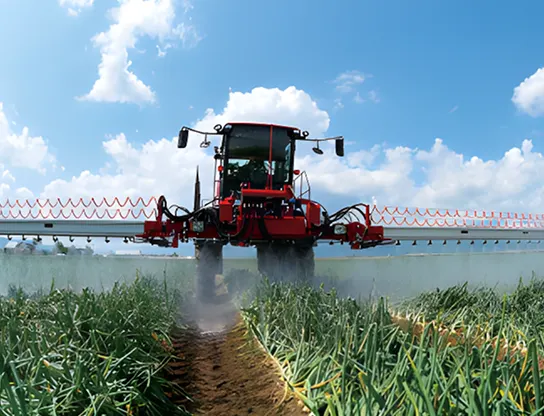 Cultivar cosechas sostenibles