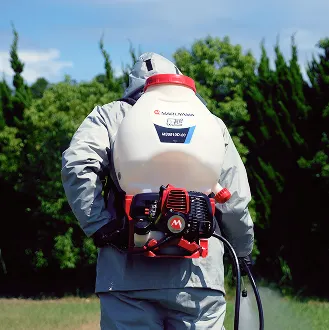 welcome-maruyama-back