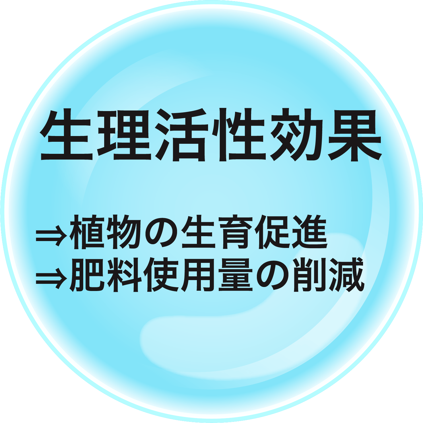 生理活性効果